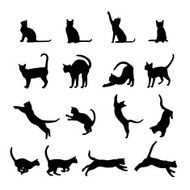 Cat Silhouette N73