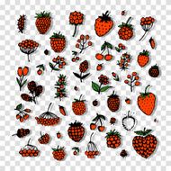 Berries collection sketch for your design N6