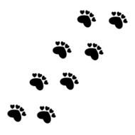 Paw Print heart - illustration