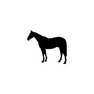 Horse Silhouette N16