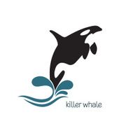 Killer Whale N2
