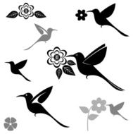 Hummingbird N13