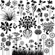 Collection of plants N2