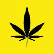 marijuana Cannabis icons vector illustration eps 10 N2