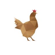 Chicken isolated on a white backgrounds