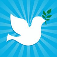 dove with olive branch design