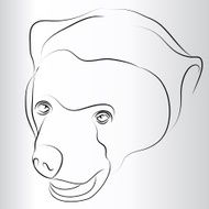 Bear Vector N4