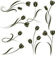 Tulip N18