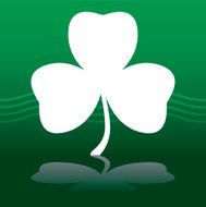 Shamrock N9