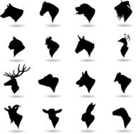 Animal Heads N2