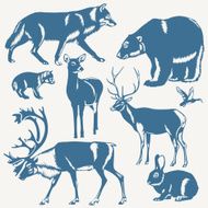 wild northern animals on a white background