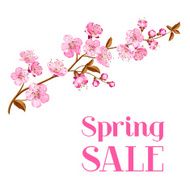 cherry blossom card N2