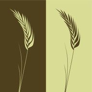 Wheat N10