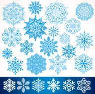 Ornamental Snowflakes Vector Graphics