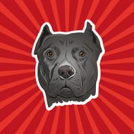 Staffordshire bullterrier hand drawn vector illustration