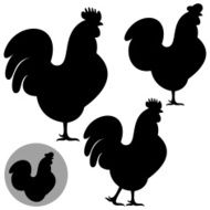 Rooster N21