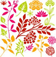 Collection of plants N3