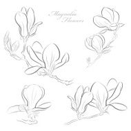 Magnolia Flowers N9