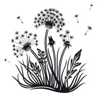 dandelion flowers N2