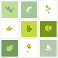 Leaf Set of design elements