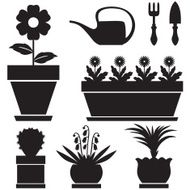Pot plants