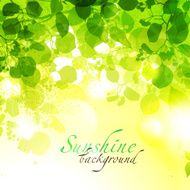 Sunshine Background N2