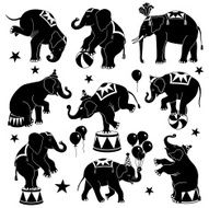 Circus Elephants N3