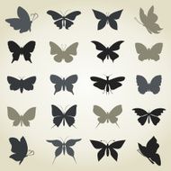 Collection the butterfly