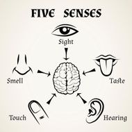 Five Senses Icons N3