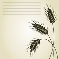 Wheat N11