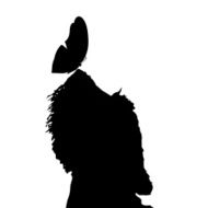 Vector silhouette of a dog N164