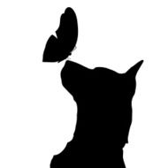 Vector silhouette of a dog N165