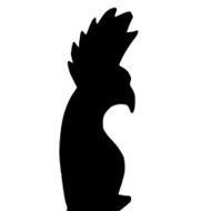 Vector silhouette of the parrot
