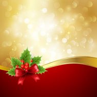 Christmas decoration with holly and bow
