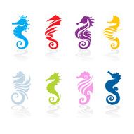 seahorse N7