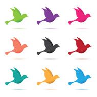 set of birds in flight