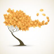 Single tree on white background