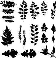 grunge leaves N2