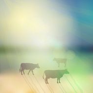 cow set silhouette on sunny sky and grass background Vector