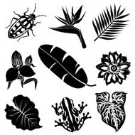 tropical flora and fauna