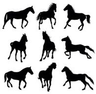 Vector horses