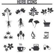 herb icons vector illustration eps 10