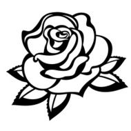 Rose N91
