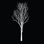 Trees with dead branch N110