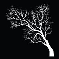 Trees with dead branch N111
