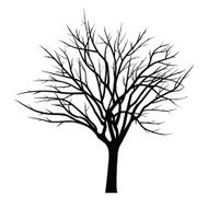 Trees with dead branch N112