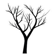 Trees with dead branch N113