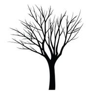 Trees with dead branch N114