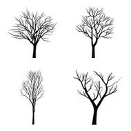 Trees with dead branch N115