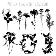 Silhouettes of wild flowers and leaves vector N10